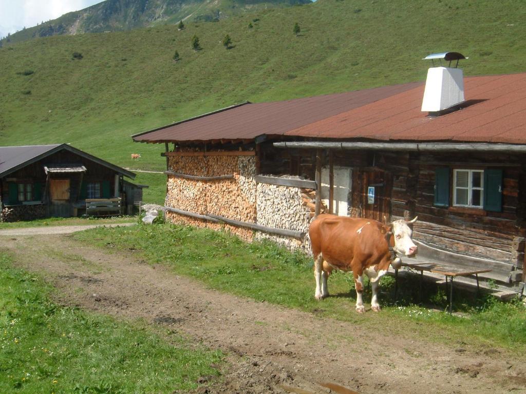 Haus Brugglbach Apartment Kirchberg in Tirol Bagian luar foto