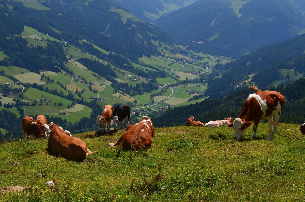 Haus Brugglbach Apartment Kirchberg in Tirol Bagian luar foto